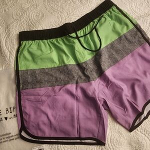 Men's Green and Purple Swim Shorts